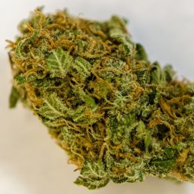 Marijuana in vendita online