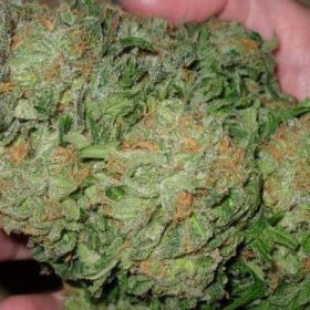 buy weed online uk