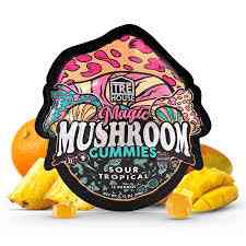 buy Sour Tropical Magic Mushroom Gummies