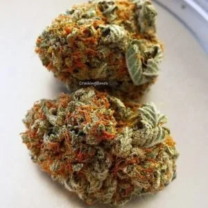Afgoo Lavender