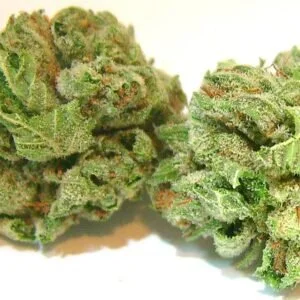 Banana kush