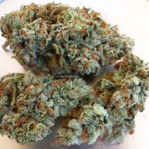 Blackberry Kush