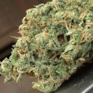 Blue Haze