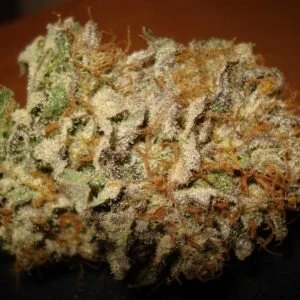 Blue moon