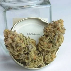 Candyland