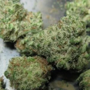 Chocolate thai