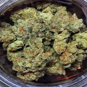 gelato