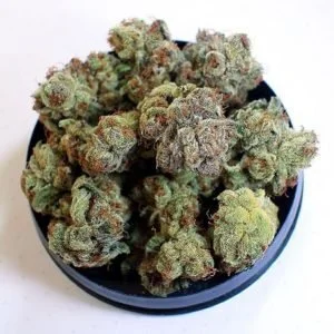 Jack Ripper