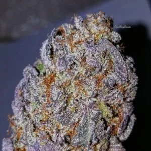 Afghan- Kush