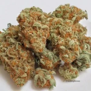 Blue Cheese