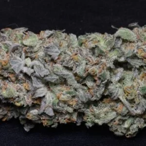 Blueberry