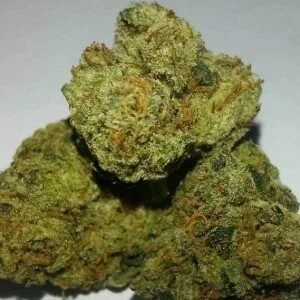 Bubblegum