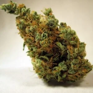 deadhead og