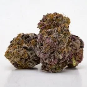 Grand-père violet