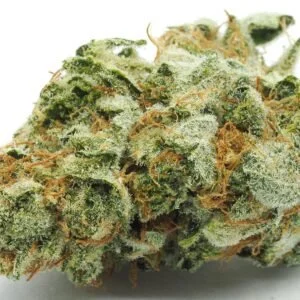 kosher kush